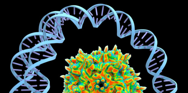 Adeno-associated virus