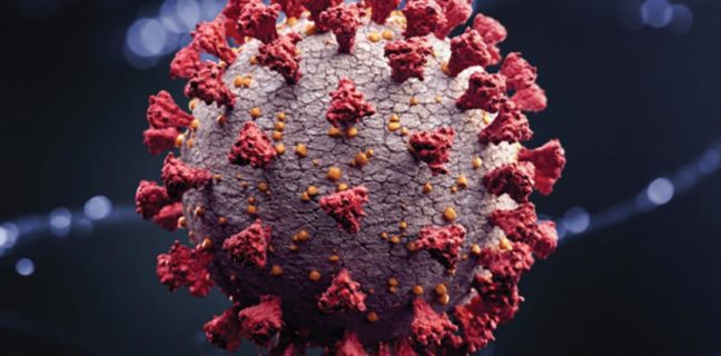 Keynote webinar Coronavirus image