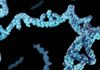 Harvard Scientists Publish Details of Enzymatic RNA Synthesis Tech Commercialized by EnPlusOne